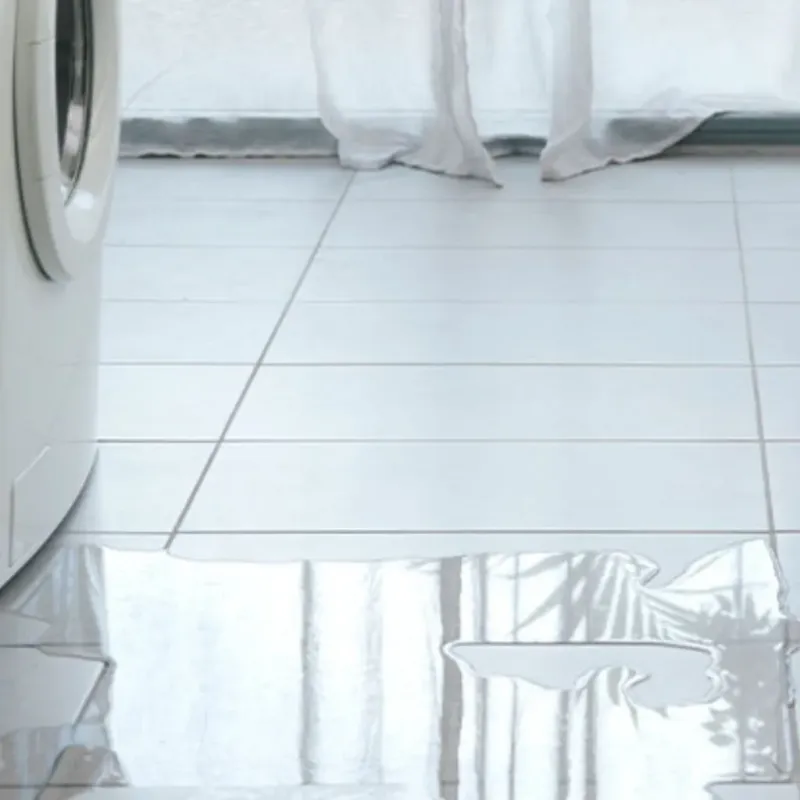 Appliance Leak Cleanup in Delavan, IL