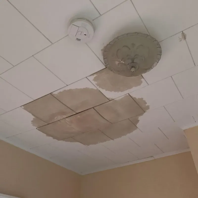 Ceiling Water Damage Repair in Delavan, IL
