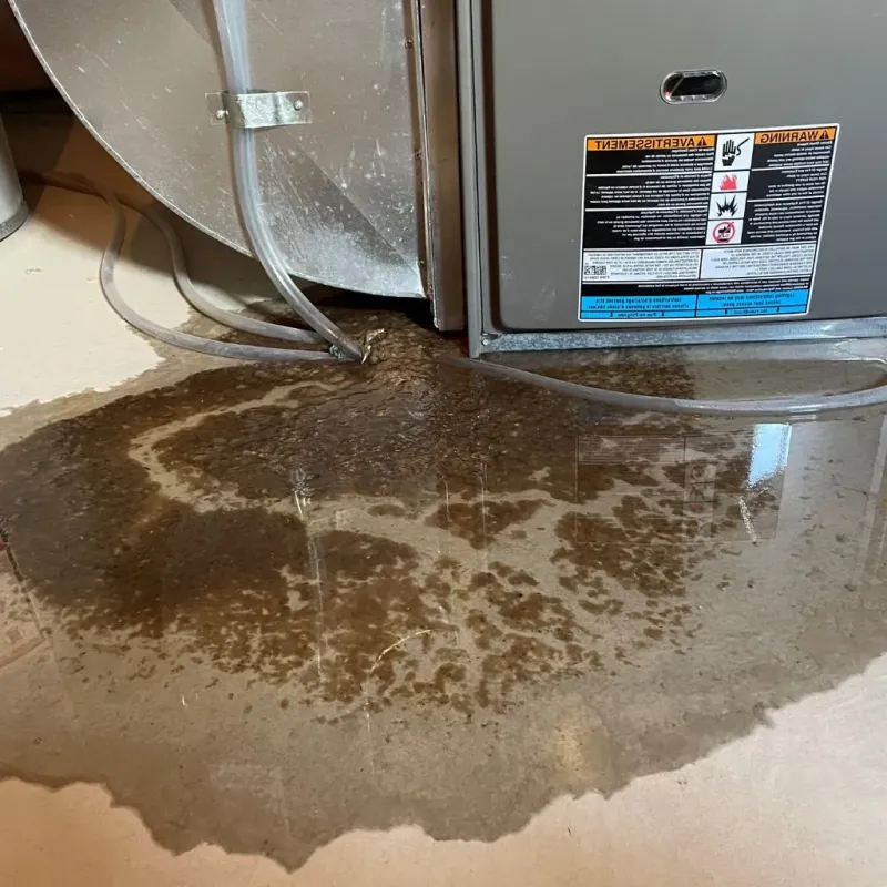 Pipe Burst and Leak Restoration in Delavan, IL