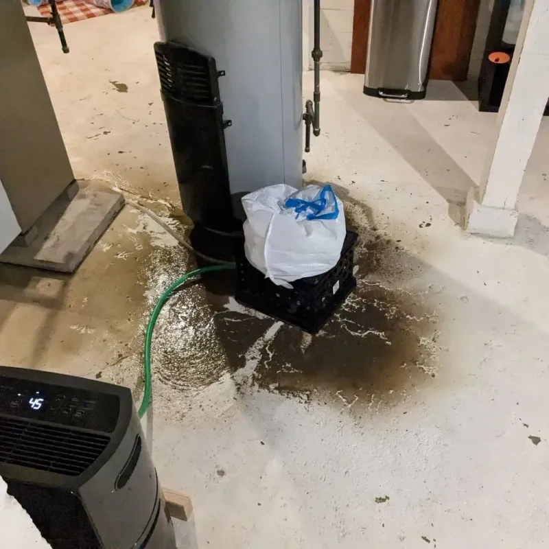 Sewage Backup Cleanup Service in Delavan, IL